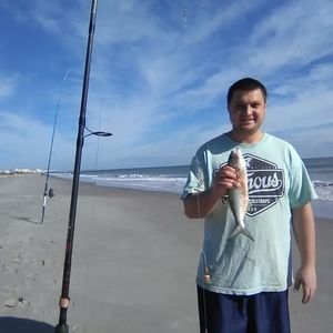 Meet your Posher, Noah